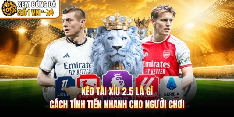 Kèo Tài Xỉu 2.5 Là Gì Cách Tính Tiền Nhanh Cho Người Chơi