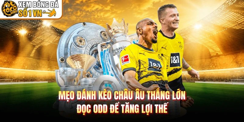 Mẹo Đánh Kèo Châu Âu Thắng Lớn – Đọc Odd Để Tăng Lợi Thế